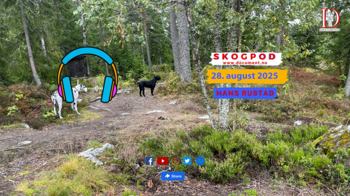 Skogpod 28. august 2025