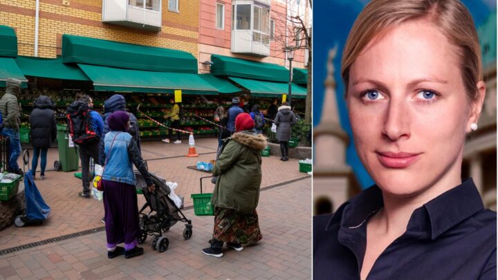 AfD-politiker fra Tyskland inspiserer Grønland