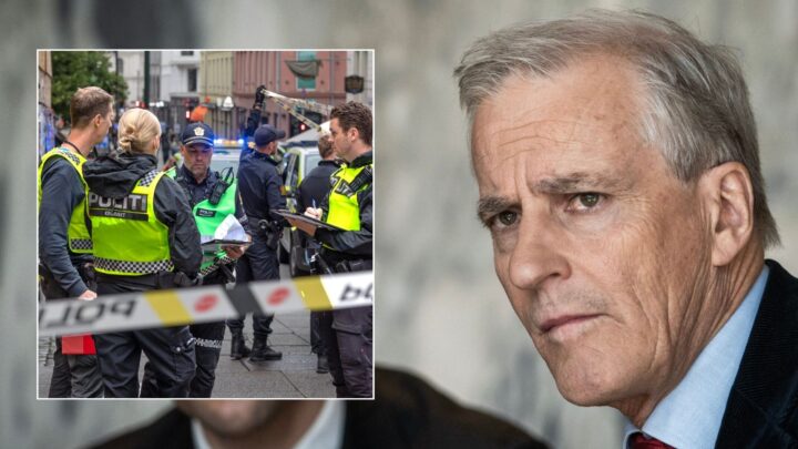 Har kuttet 272 politifolk langs svenskegrensen: – Gjenglederne jubler over Støre