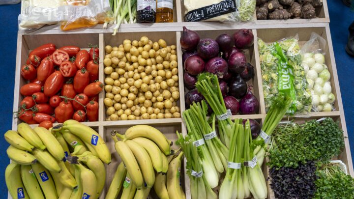 Har ikke råd til å gi fattige næringsrik mat