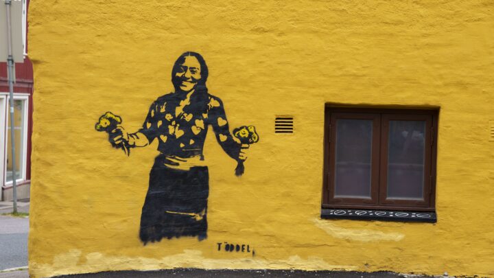 Hva skjuler Djordje Wilms-saken? Kampen-drapet misbrukes og tåkelegges