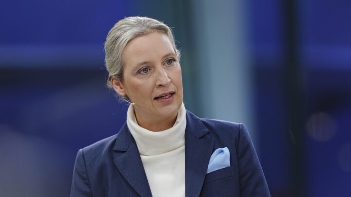 AfD igjen øverst på tysk menings­måling