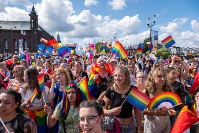 Moderaterna satser på å vinne stemmene til homofile
