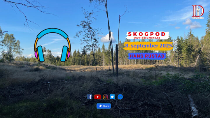 Skogpod 8. september 2025
