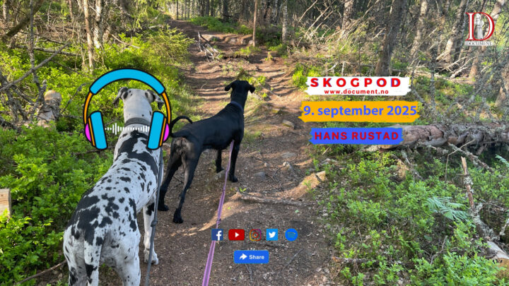 Skogpod 9. september 2025