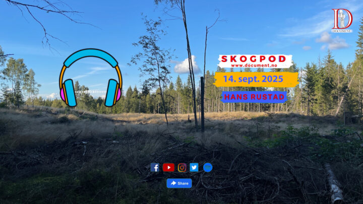 Skogpod 14. september 2025