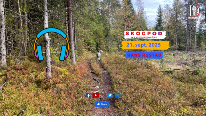 Skogpod 21. september 2025