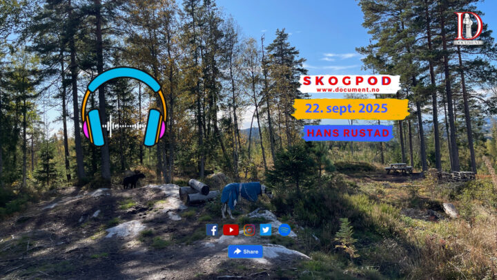 Skogpod 22. september 2025