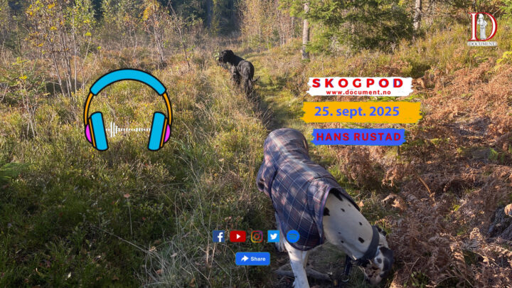 Skogpod 25. september 2025