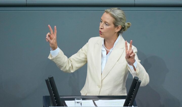 AfD fester grepet som størst i Tyskland