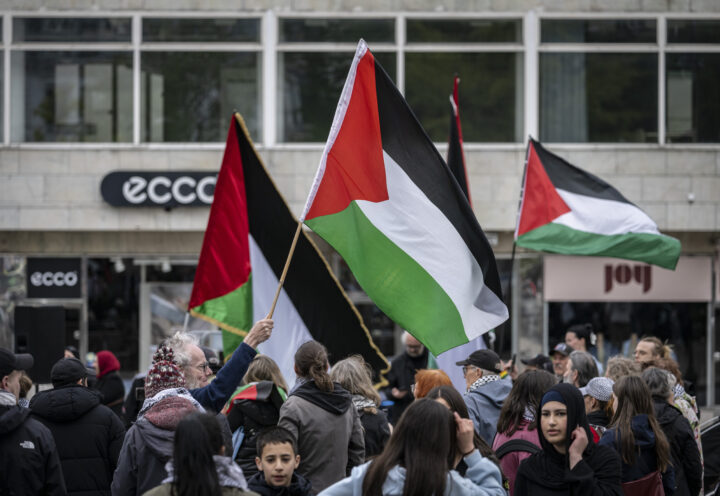 Svensk professor: Palestina-aktivister vil forsvare Sverige