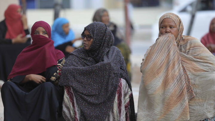 Det afrikanske sirkus