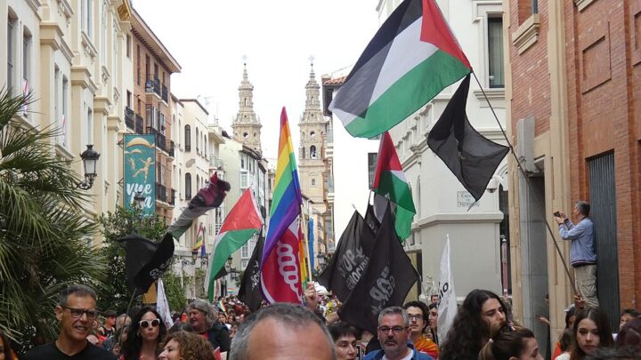 Homofile mot Gaza