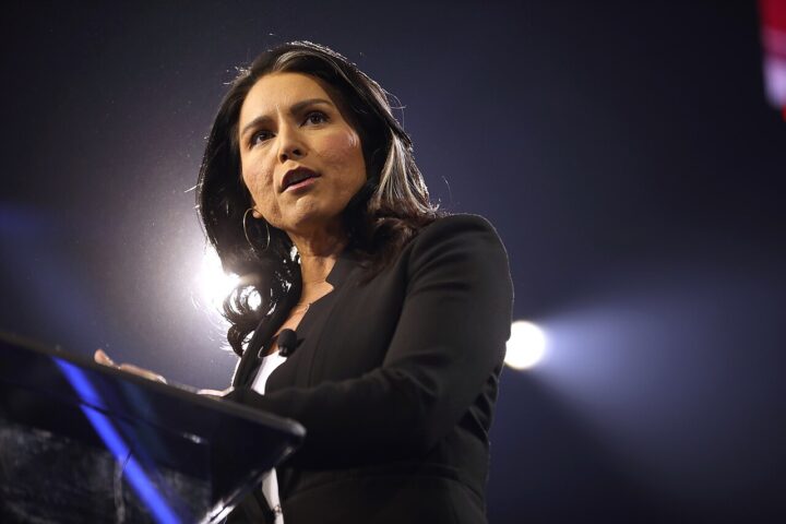 Tulsi Gabbard: – Fauci lyver