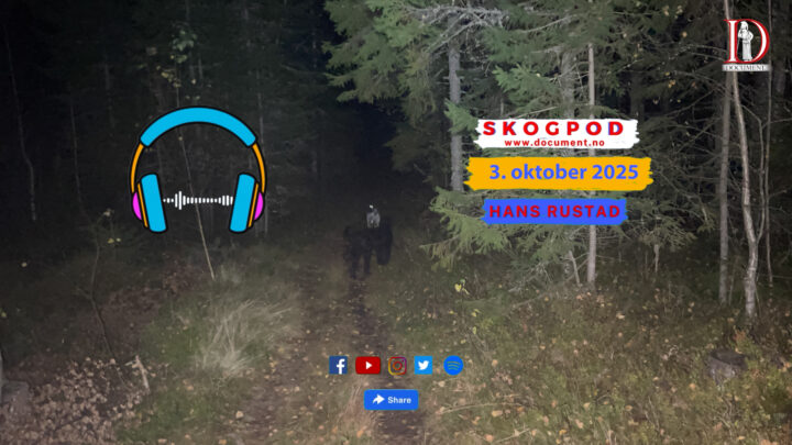 Skogpod 3. oktober 2025