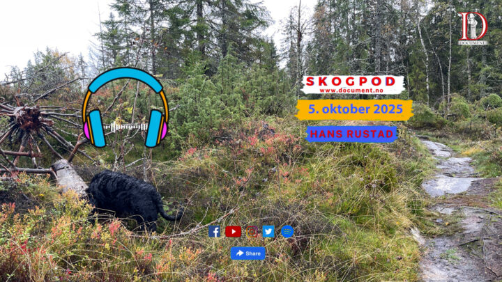 Skogpod 5. oktober 2025 | Hva vil det si å være en amerikaner?