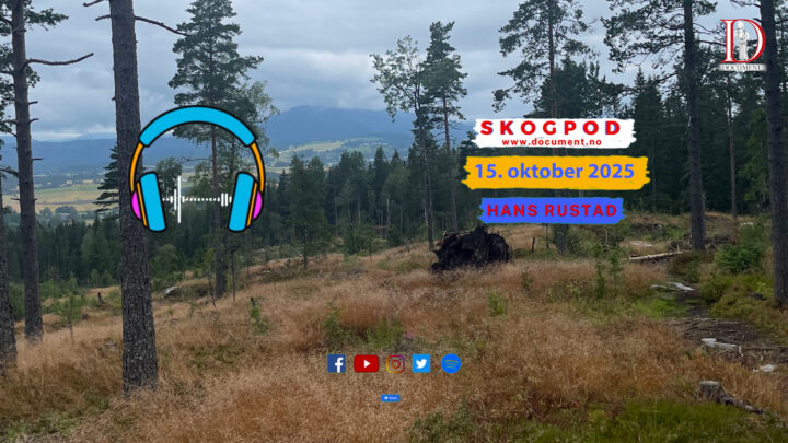 Skogpod 16. oktober 2025