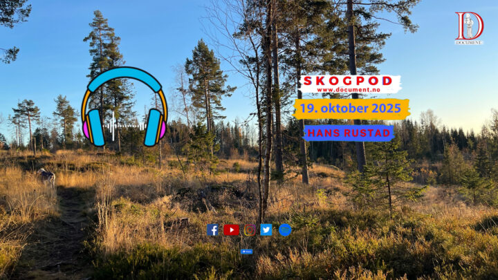 Skogpod 19. oktober 2025