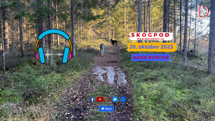 Skogpod 20. oktober 2025