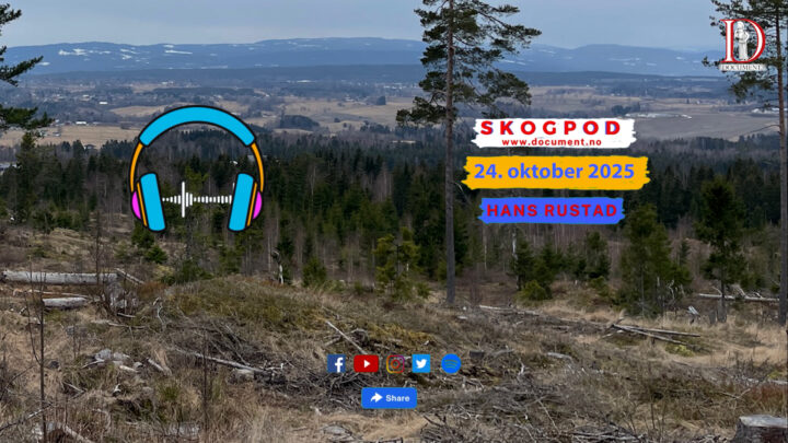 Skogpod 24. oktober 2025