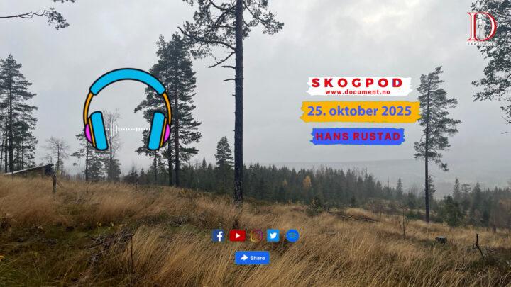 Skogpod 25. oktober 2025