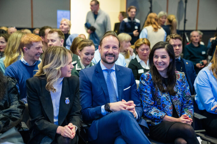 Kampen for den jødiske statens eksistens (X)