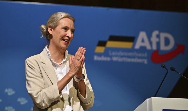 Ny rekordmåling for AfD i Tyskland