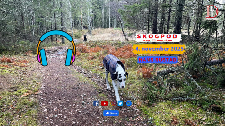Skogpod  4. november 2025