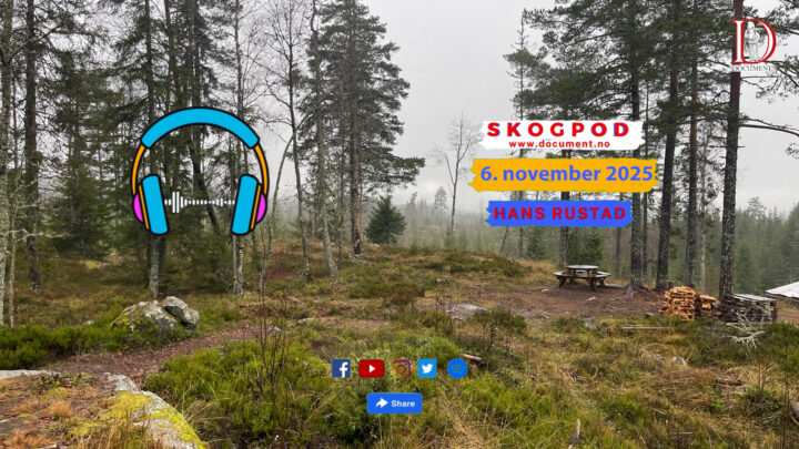 Skogpod  6. november 2025