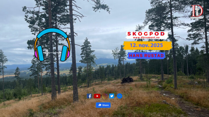 Skogpod  12. november 2025
