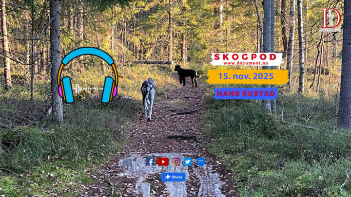 Skogpod  15. november 2025