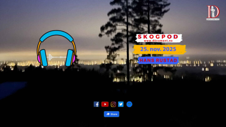 Skogpod  25. november 2025