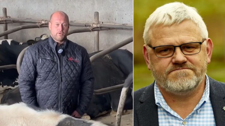 Slår alarm: Ber politikerne dra i nød&shy;bremsen etter flere Bovaer-dødsfall