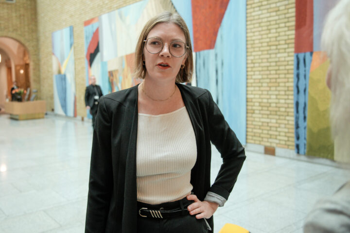 Sneve Martinussen: Hadde høyresiden lagt fram dette forslaget, hadde det blitt ramaskrik