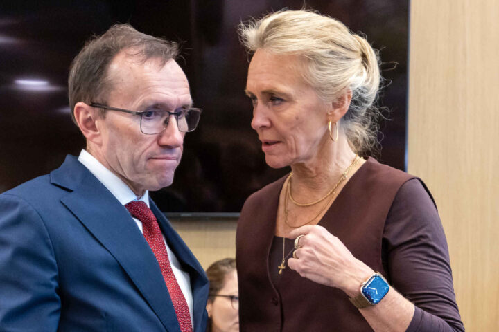 Island holder folkeavstemning om EU 29. august