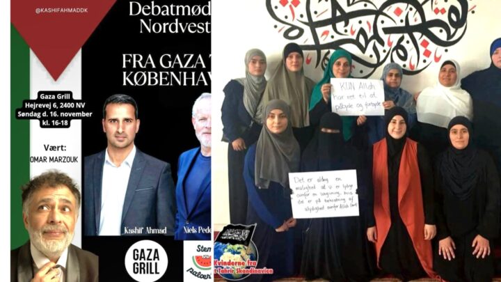 500 000 utlendinger uten statsborgerskap kan stemme i dagens lokalvalg i Danmark