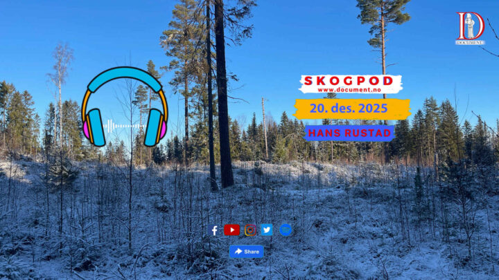 Skogpod 20. desember 2025