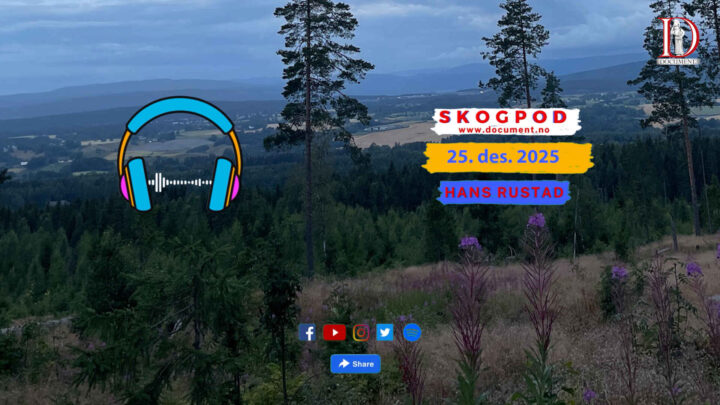 Skogpod 25. desember 2025