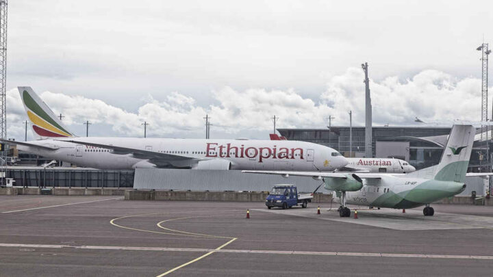 Danskene vil ha remigrasjon (+)