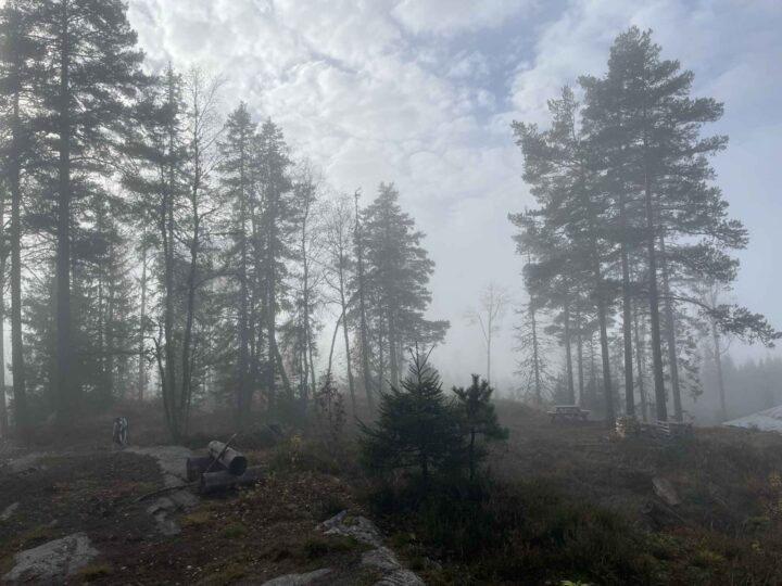 I dag har jeg gitt 50.000 kroner til Document. Igjen