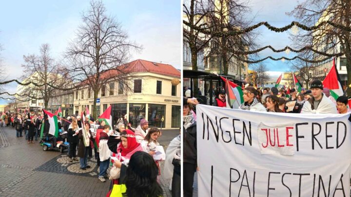 Også Lucia ble kuppet av Gaza-aktivister&nbsp;(+)