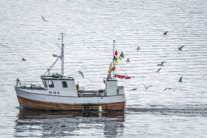 EU-kutt rammer norske fiskere og forbrukere hardt
