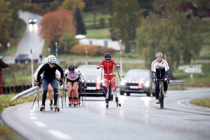 Trafikkens terrorister (+)