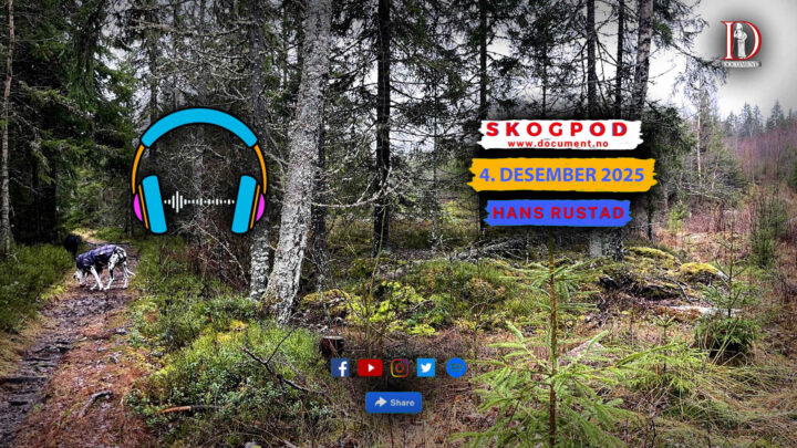 Skogpod 4. desember 2025