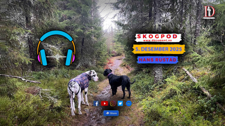 Skogpod 5. desember 2025