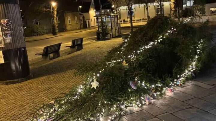 Juletreet på torvet i Flekkefjord sagd ned