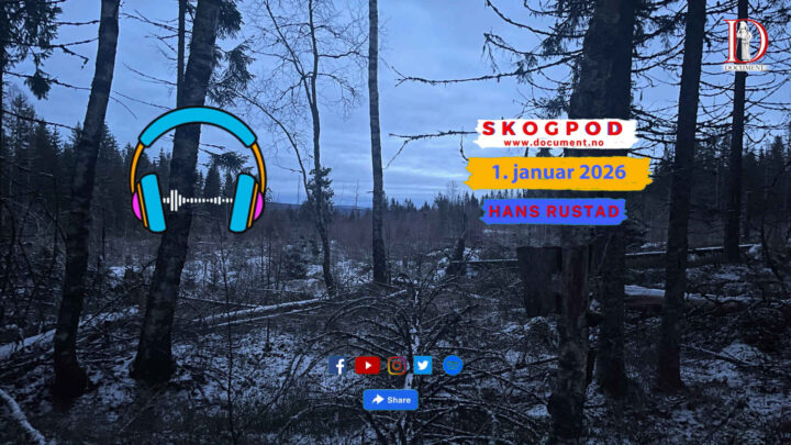 Skogpod 1. januar 2026
