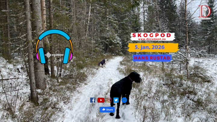 Skogpod 5. januar 2026