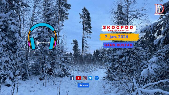 Skogpod 7. januar 2026