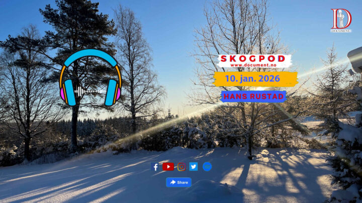 Skogpod 10. januar 2026
